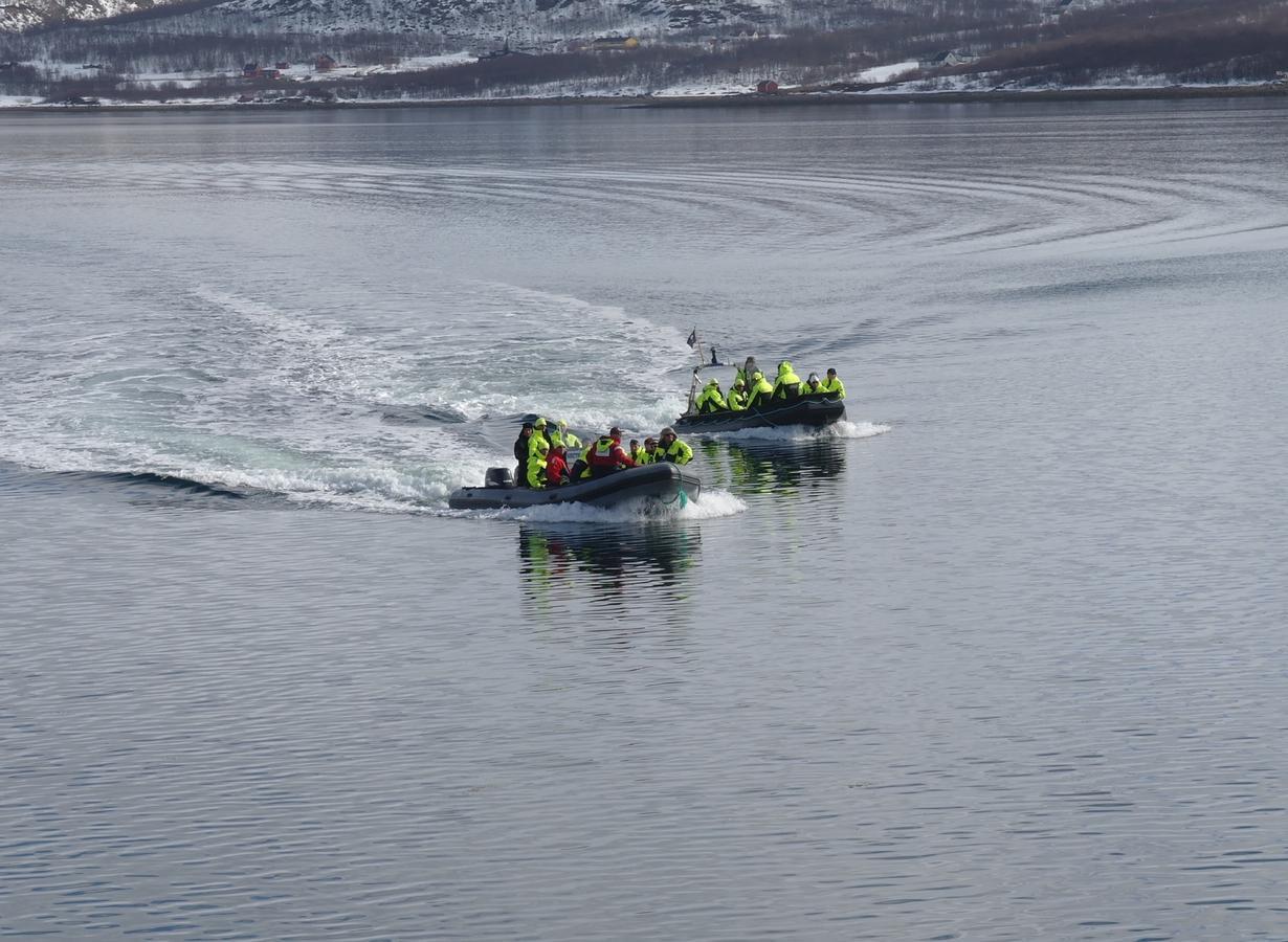 Jarfjord Arctic Aurora Lodge Karpbukt Kültér fotó