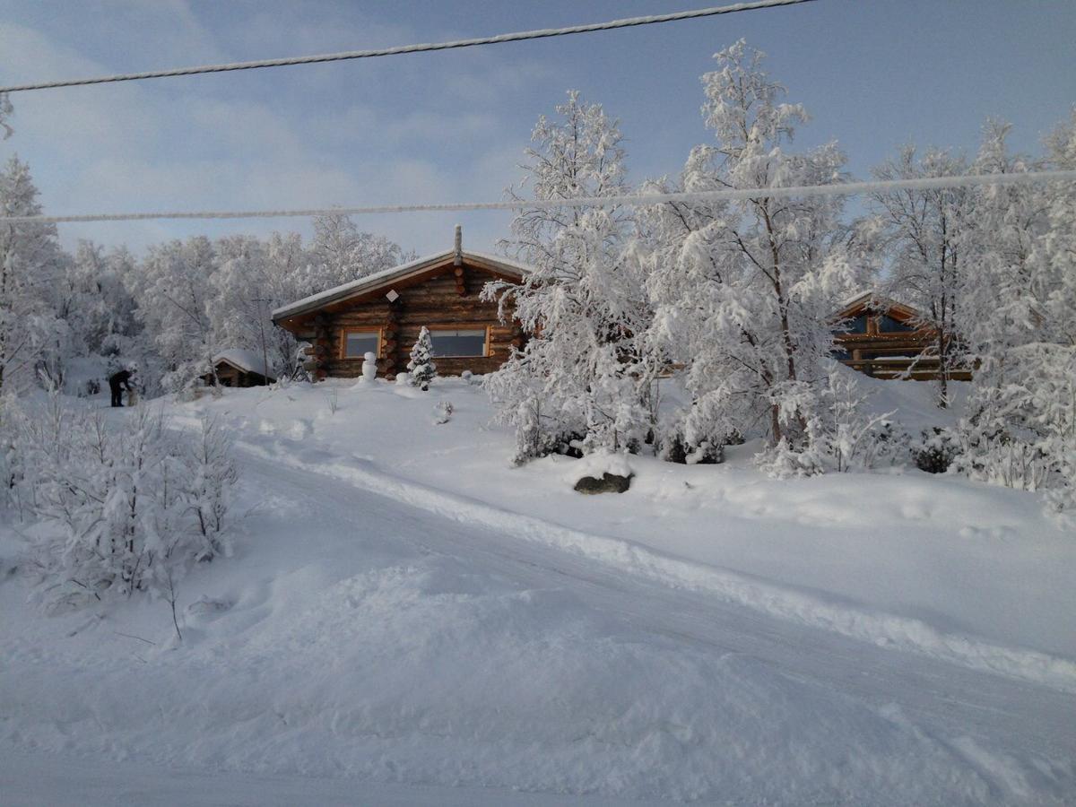 Jarfjord Arctic Aurora Lodge Karpbukt Kültér fotó